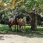 Bed & Breakfast Domaine Agricole De Labarthe Leguevin