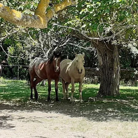 Domaine Agricole De Labarthe 3*