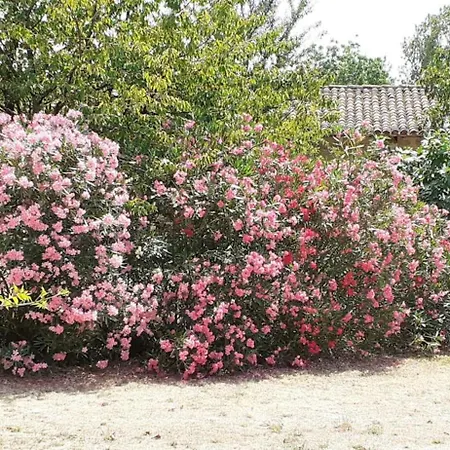 Domaine Agricole De Labarthe 3*